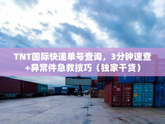 TNT国际快递单号查询，3分钟速查+异常件急救技巧（独家干货）