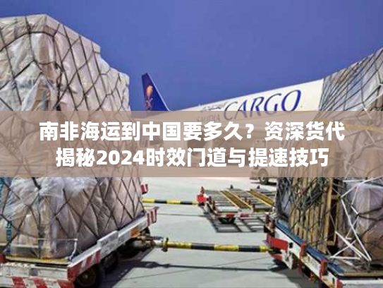 南非海运到中国要多久？资深货代揭秘2024时效门道与提速技巧