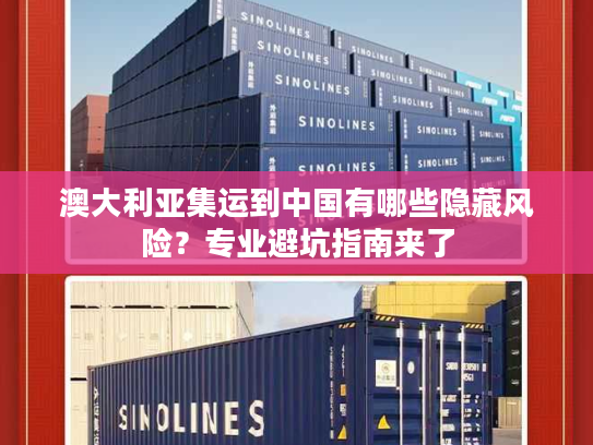 澳大利亚集运到中国有哪些隐藏风险？专业避坑指南来了