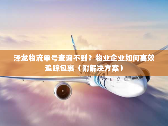 泽龙物流单号查询不到?物业企业如何高效追踪包裹(附解决方案) 泽龙物流单号查询不到?物业企业如何高效追踪包裹(附解决方案)