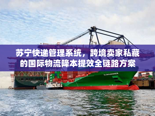苏宁快递管理系统，跨境卖家私藏的国际物流降本提效全链路方案