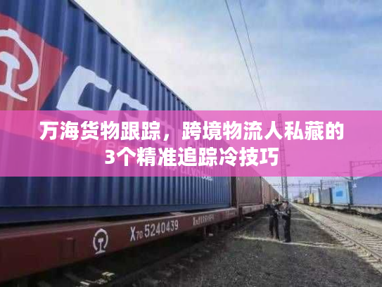 万海货物跟踪,跨境物流人私藏的3个精准追踪冷技巧 万海货物跟踪,跨境物流人私藏的3个精准追踪冷技巧