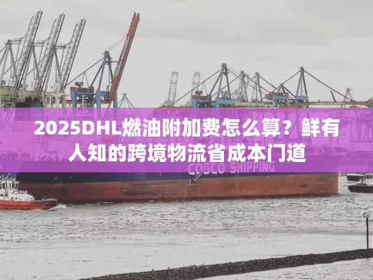 2025DHL燃油附加费怎么算？鲜有人知的跨境物流省成本门道