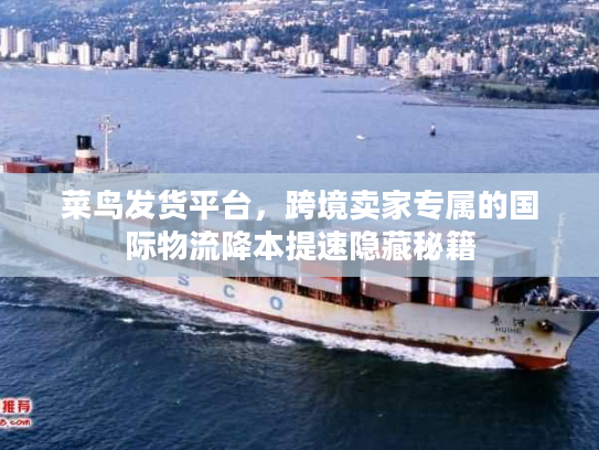 菜鸟发货平台,跨境卖家专属的国际物流降本提速隐藏秘籍 菜鸟发货平台,跨境卖家专属的国际物流降本提速隐藏秘籍