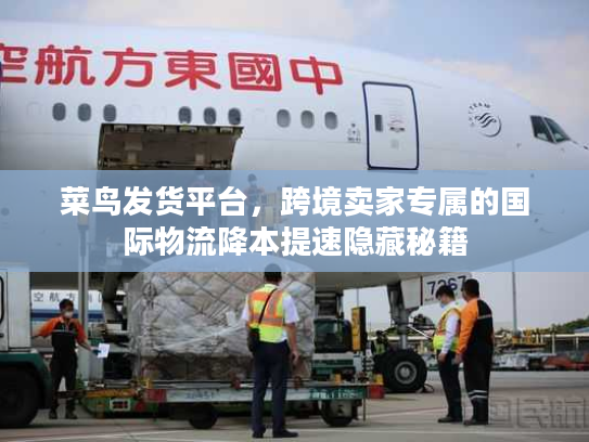菜鸟发货平台,跨境卖家专属的国际物流降本提速隐藏秘籍 菜鸟发货平台,跨境卖家专属的国际物流降本提速隐藏秘籍