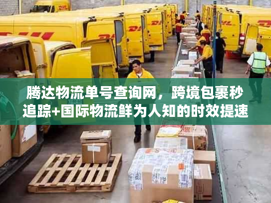腾达物流单号查询网，跨境包裹秒追踪+国际物流鲜为人知的时效提速技巧
