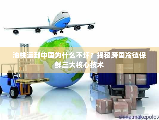 油桃运到中国为什么不坏?揭秘跨国冷链保鲜三大核心技术 油桃运到中国为什么不坏?揭秘跨国冷链保鲜三大核心技术