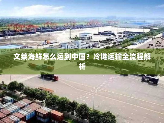 文莱海鲜怎么运到中国？冷链运输全流程解析