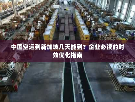 中国空运到新加坡几天能到？企业必读的时效优化指南