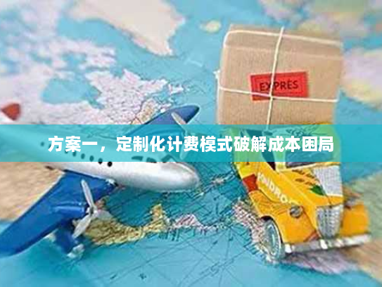 方案一,定制化计费模式破解成本困局 方案一,定制化计费模式破解成本困局