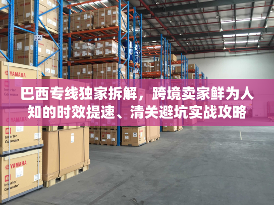 巴西专线独家拆解，跨境卖家鲜为人知的时效提速、清关避坑实战攻略