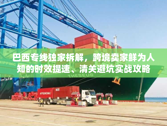 巴西专线独家拆解，跨境卖家鲜为人知的时效提速、清关避坑实战攻略