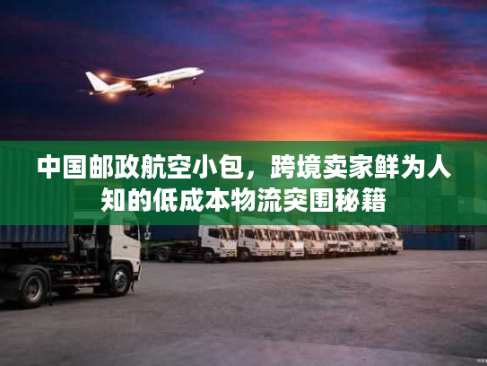 中国邮政航空小包，跨境卖家鲜为人知的低成本物流突围秘籍