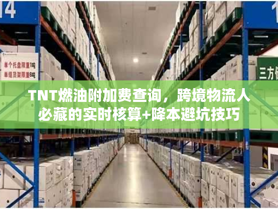 TNT燃油附加费查询，跨境物流人必藏的实时核算+降本避坑技巧