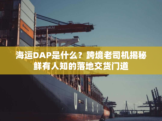 海运DAP是什么？跨境老司机揭秘鲜有人知的落地交货门道