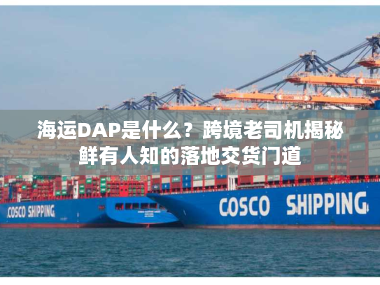 海运DAP是什么？跨境老司机揭秘鲜有人知的落地交货门道