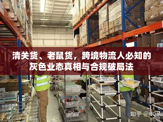 清关货、老鼠货，跨境物流人必知的灰色业态真相与合规破局法