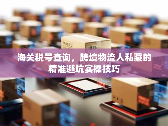 海关税号查询，跨境物流人私藏的精准避坑实操技巧
