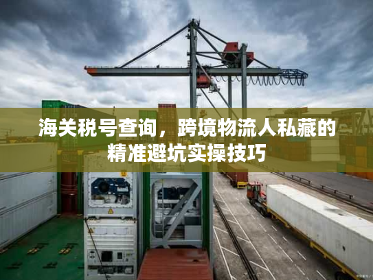 海关税号查询，跨境物流人私藏的精准避坑实操技巧
