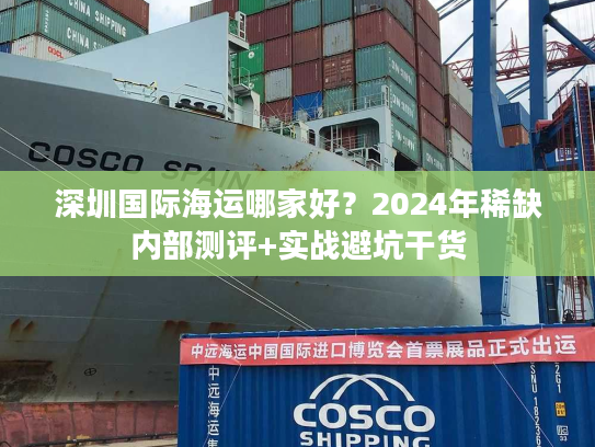 深圳国际海运哪家好？2024年稀缺内部测评+实战避坑干货