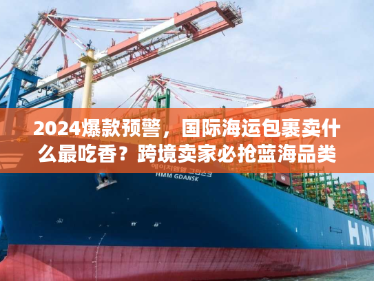 2024爆款预警，国际海运包裹卖什么最吃香？跨境卖家必抢蓝海品类清单