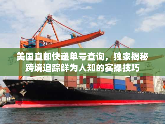 美国直邮快递单号查询，独家揭秘跨境追踪鲜为人知的实操技巧