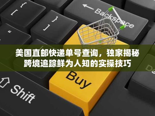 美国直邮快递单号查询，独家揭秘跨境追踪鲜为人知的实操技巧