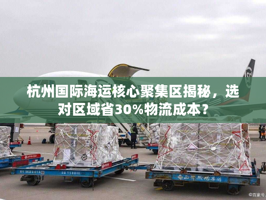 杭州国际海运核心聚集区揭秘，选对区域省30%物流成本？