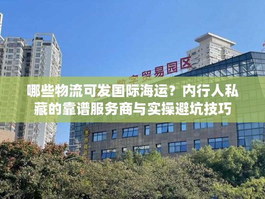 哪些物流可发国际海运？内行人私藏的靠谱服务商与实操避坑技巧