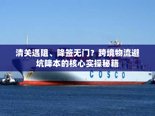 清关遇阻、降签无门？跨境物流避坑降本的核心实操秘籍