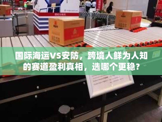 国际海运VS安防，跨境人鲜为人知的赛道盈利真相，选哪个更稳？