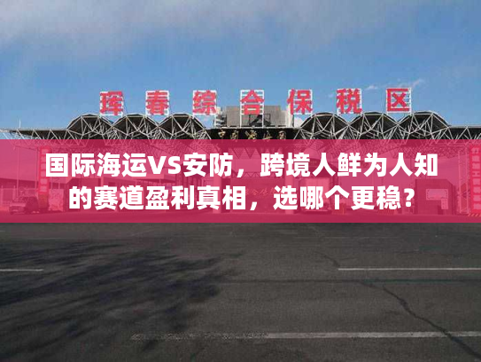 国际海运VS安防，跨境人鲜为人知的赛道盈利真相，选哪个更稳？