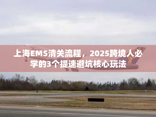 上海EMS清关流程，2025跨境人必学的3个提速避坑核心玩法
