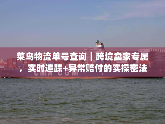 菜鸟物流单号查询｜跨境卖家专属，实时追踪+异常赔付的实操密法