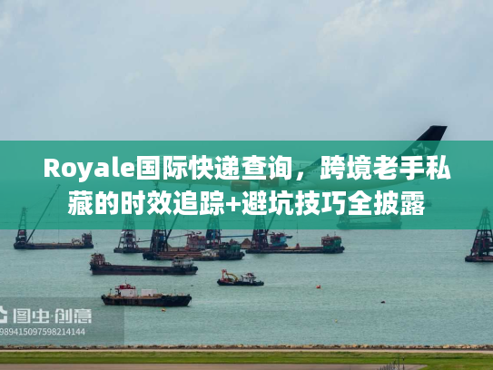 Royale国际快递查询，跨境老手私藏的时效追踪+避坑技巧全披露
