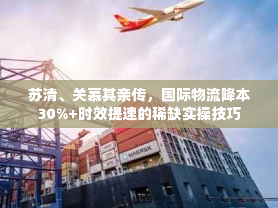 苏清、关慕其亲传，国际物流降本30%+时效提速的稀缺实操技巧