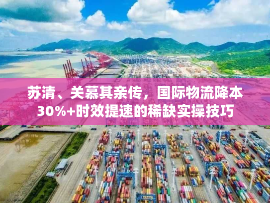 苏清、关慕其亲传，国际物流降本30%+时效提速的稀缺实操技巧