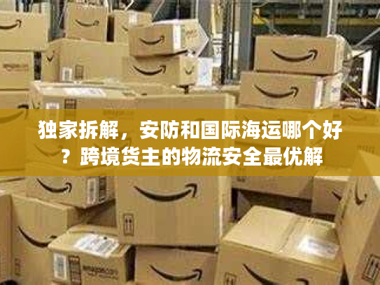 独家拆解，安防和国际海运哪个好？跨境货主的物流安全最优解