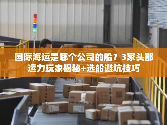 国际海运是哪个公司的船？3家头部运力玩家揭秘+选船避坑技巧