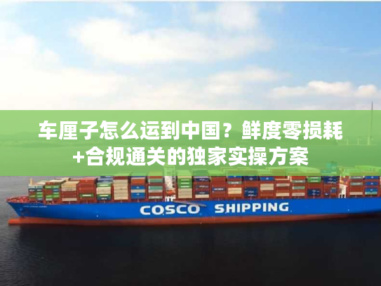 车厘子怎么运到中国？鲜度零损耗+合规通关的独家实操方案