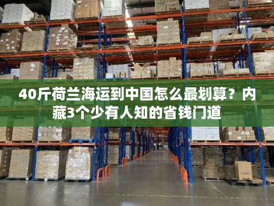 40斤荷兰海运到中国怎么最划算？内藏3个少有人知的省钱门道