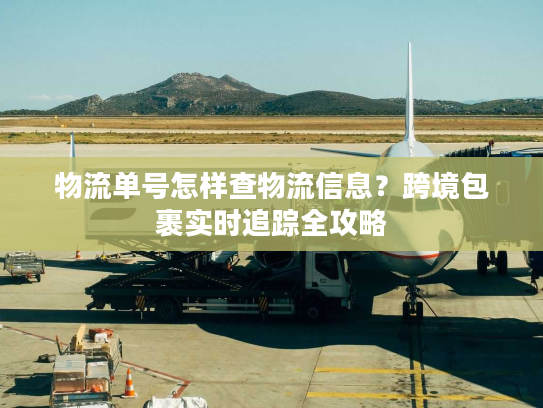 物流单号怎样查物流信息？跨境包裹实时追踪全攻略