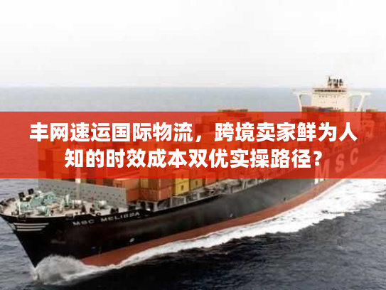 丰网速运国际物流，跨境卖家鲜为人知的时效成本双优实操路径？