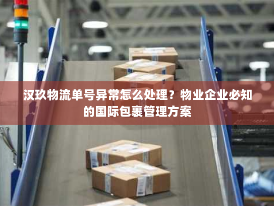 汉玖物流单号异常怎么处理？物业企业必知的国际包裹管理方案