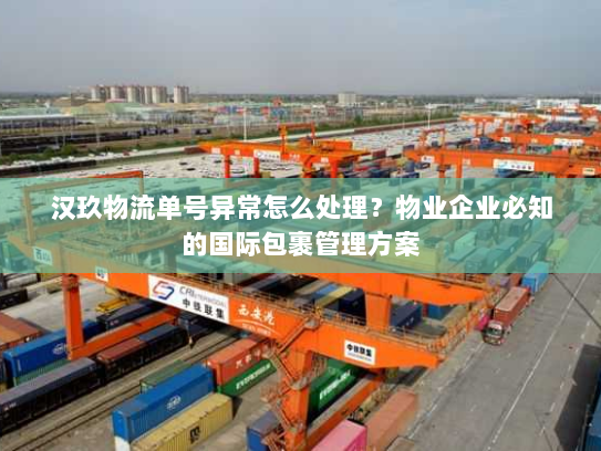 汉玖物流单号异常怎么处理？物业企业必知的国际包裹管理方案