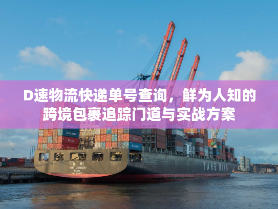 D速物流快递单号查询，鲜为人知的跨境包裹追踪门道与实战方案