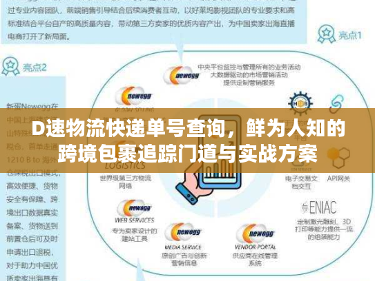 D速物流快递单号查询，鲜为人知的跨境包裹追踪门道与实战方案