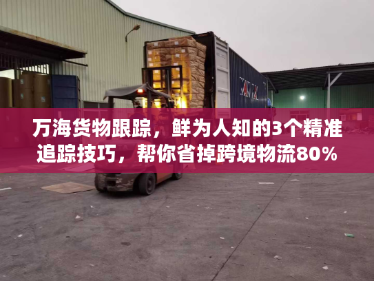 万海货物跟踪，鲜为人知的3个精准追踪技巧，帮你省掉跨境物流80%麻烦
