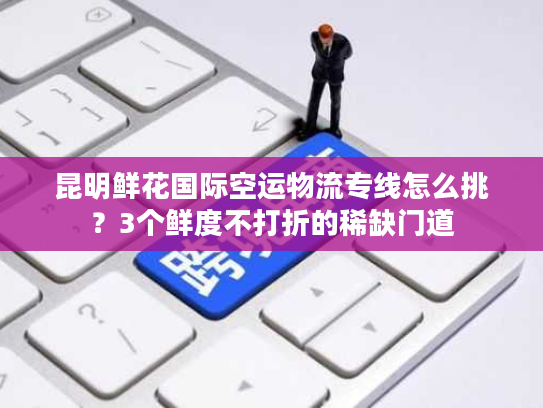 昆明鲜花国际空运物流专线怎么挑？3个鲜度不打折的稀缺门道