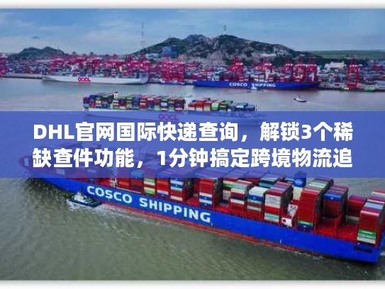 DHL官网国际快递查询，解锁3个稀缺查件功能，1分钟搞定跨境物流追踪